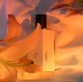 NOVINKA | BOUQUET ENCORE LATTE 🤍@lorchestreparfum KVETINOVÝ NEKTÁR BEZSENNEJ NOCI Neodolateľná zmes mandľového mlieka,...