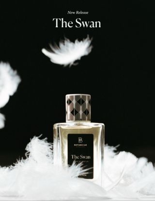 NOVINKA The Swan 🦢 @botanicae.perfume @miroslav.petkov_perfumer Sladká, hlboká a elegantná vôňa. Éterický elixír s...